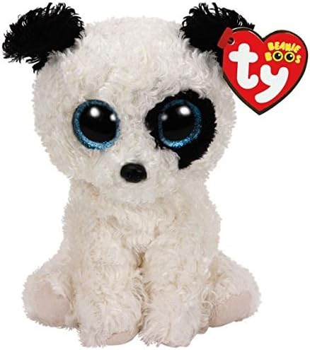 miniature poodle mixed with yorkie