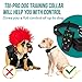[NEW 2018] Dog Training Collar with Remote | Long Range up to 1600 ft, Shock/Vibration Control, Rechargeable & IPX7 Waterproof | E-Collar Training for Small, Medium and Large Dogs, Breeds (1 Dog)