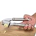 Bonim Grillers Garlic Press and Peeler Set. Stainless Steel Mincer and Silicone Tube Roller
