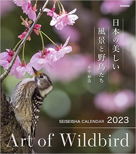 Art Of Wildbird 日本の美しい風景と野鳥たち23 水中 伸浩 セイセイシャカレンダー23 水中 伸浩 本 通販 Amazon
