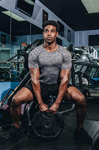 Kamo Fitness Short Sleeve Activewear T-Shirt for Men with Fast Drying and Moisture Transport (Grey, M)