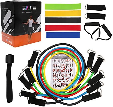 17pc Resistance Band Set - with Resistance Rope,Exercise Bands,Instructions Guide,Door Anchor, Ankle Straps - For Resistance Training Physical Therapy Legs Butt Glutes Yoga Crossfit Fitness