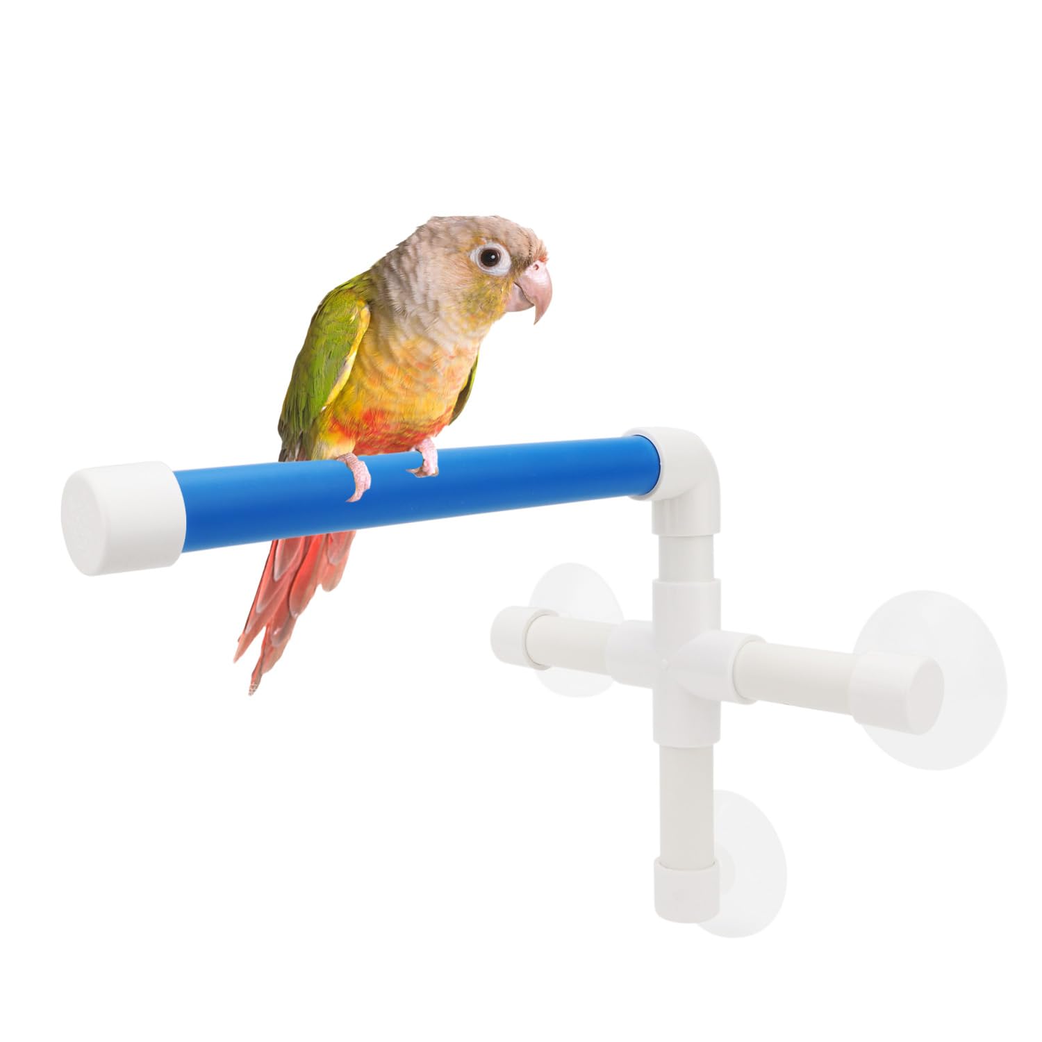 Bird Parrot Stand Perch Shower Perch Standing Toy Portable Suction Cup Parrot Bath Stands Suppllies Holder Platform Parakeet Window Wall Hanging Play (3 Suction Cups1)