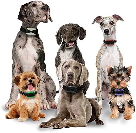 Small / Medium / Large Dog Training Collars with 800 Yards Range Remote Rechargeable Electric Dog Collar Rainproof or Waterproof with Ultrasonic Lights, Vibration, Beep &amp; Shock All Dogs By Our K9 …