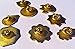 Pokemon Gym Badges: Kanto - Gen 1 - Indigo League - Cosplay Collection (Gold Trim)