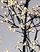 Akari LED Cherry Blossom Christmas Tree 8 FT 600L LED Decorative Lighted Tree for Party/Wedding/Indoor Outdoor/Office/Christmas Decoration, Warm White