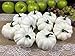 COTOSEY 12PCS Artificial White Pumpkins for Wedding Halloween Fall Thanksgiving Table Decorating (10 Pcs White)