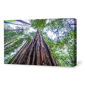 Canvas Wall Art for Living Room,Bedroom Home Artwork Paintings Red Wood Ready to Hang - 12x18 inches