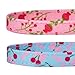 Blueberry Pet Pack of 2 Cat Collars, Lovely Cherry and Floral Prints Adjustable Breakaway Cat Collar with Flower & Bell, Neck 9