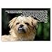 JOKES postcard set of 20. Post card variety pack of funny joke postcards. Made in USA.