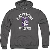 Northwestern University Official Wildcats Logo Unisex Adult Pull-Over Hoodie,Charcoal, Small