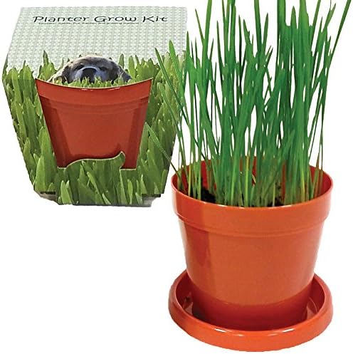 Indoors Dog Grass Planter Growing Kit - With Saucer, Peat &amp; Wheatgrass Seeds