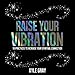Raise Your Vibration: 111 Practices to Increase Your Spiritual Connection