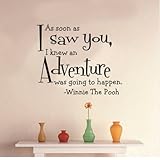 MZY LLC (TM) As soon as I saw you I knew an adventure was going to happen Winnie the Pooh - Removeable Wall Decal Sticker Art Vinyl