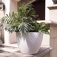 31+ Large Indoor Tree Planter Gif