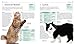 The Cat Selector: How to Choose the Right Cat for You