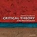 Critical Theory: A Very Short Introduction 
