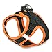 Best Pet Supplies - All Weather Mesh, Reflective, No Pull Harness for Small, Medium Dogs, Cats - Secure with Hook & Loop Fastener, Buckle, Double D-Rings - Orange Trim, XS
