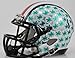 OHIO STATE BUCKEYES NCAA Riddell Revolution SPEED Mini Football Helmet HYDROFX (CHROME)