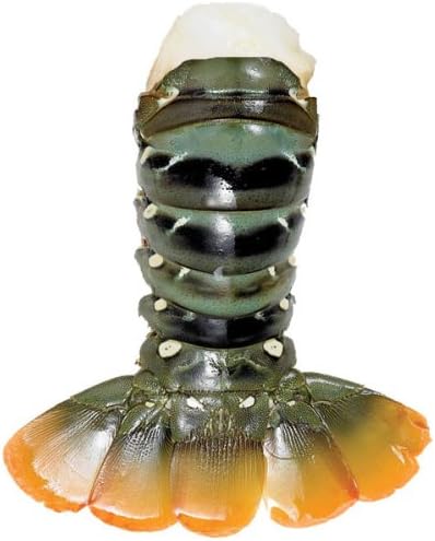 (Ship from USA) Lobster Gram NA8T4 FOUR 8-10 OZ NORTH AUSTRALIAN LOBSTER TAILS /ITEM NO#E8FH4F85415517
