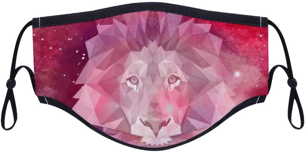 Fashion Comfortable health Face MaskNebula Galaxy Lion Cotton Anti-Dust Mouth Mask Reusable Face Shield Mask for Adults and Teens