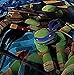 Nickelodeon Teenage Mutant Ninja Turtles Full Reversible Comforter