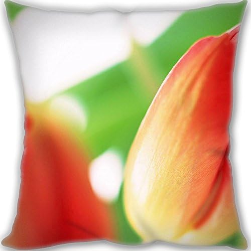 Lidoy Custom Cotton Super Soft Leaning Cushion Throw Pillow Pillows,Size 45x45cm(18x18inch) Normal Size 450g(1lb),Tulip Flowers
