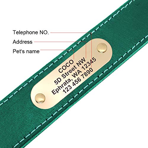 Didog Genuine Leather Dog Collars with Engraved Nameplate, Personalized