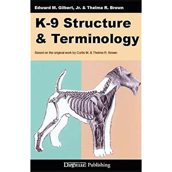 The Complete Dog Book: 20th Edition eBook : American Kennel Club