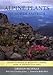 Alpine Plants of North America: An Encyclopedia of Mountain Flowers from the Rockies to Alaska by Graham Nicholls, Bobby Ward