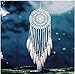 Ricdecor Dream Catcher Wall Hanging car Hanging Decoration Ornament Boho Dream Catchers for Home (White)