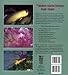 Natural Reef Aquariums: Simplified Approaches to Creating Living Saltwater Microcosms