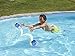 SwimWays Disney Finding Dory Hop Ball