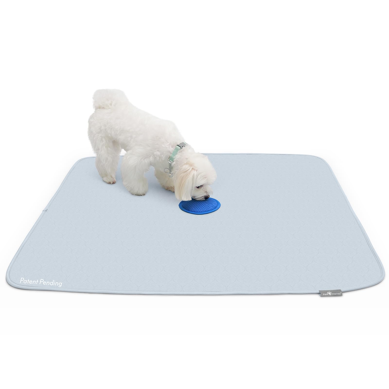 Photo 1 of 2ct Paw Inspired Speed Spot Go Here Potty Training Puppy Pads with Pop Up Urine Attractant Target | Washable, Reusable Dog Pee Pads with Pheromone Scent Patch for Housebreaking (36x36 Inch Size)