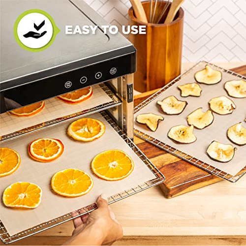 Dehydrator Sheets (Teflon, 12 Pack) Free Recipe Sheet Jerky, Fruit