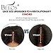 BEEOS 9A 13x6 Short Bob Lace Front Human Hair Wigs, 150% Density Pre Plucked and Bleached Knots Natural Hairline Brazilian Virgin Bob Wig Middle Part (12 inch)