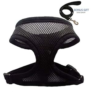 Amazon.com : Pet Club No Pull Dog/Cat/Rat Harness and ...