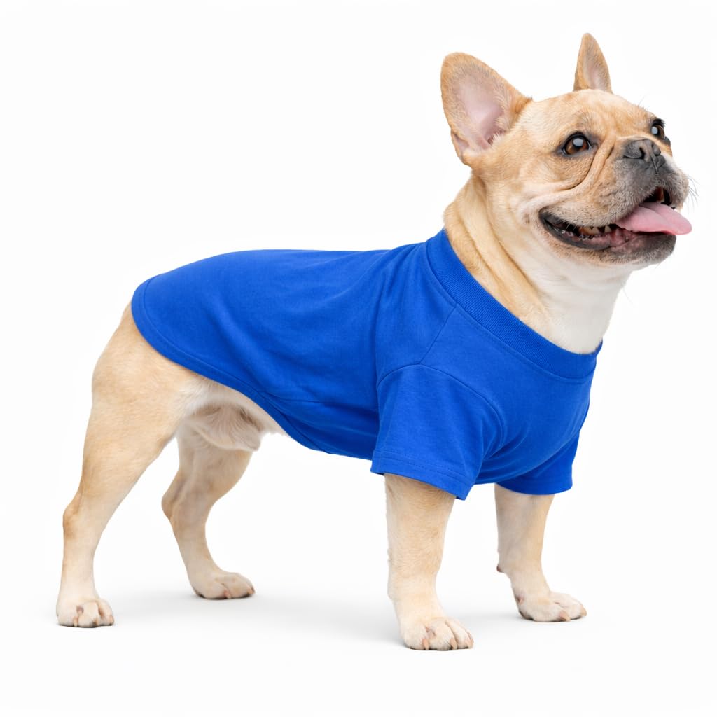 Lovelonglong Bulldog Clothes Dog Clothing Blank T-Shirt Tee Shirts for French Bulldog English Bulldog American Pit Bull Pugs 100% Cotton Skin Care Blue B-S