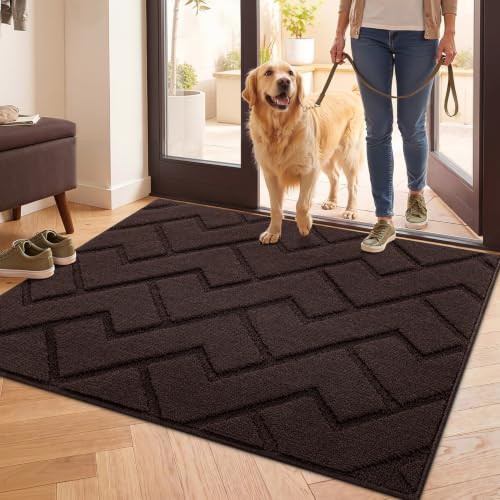 Biscpro Fußmatte Innen Außen Waschbar eingangsteppich innen Schmutzfangmatte rutschfest,Türmatte Innen Teppich für Eingang, Patio, Flur, Garten, Innen
