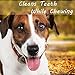 MR.PLAY Dog Chew Toy Puppy Teeth Cleaning Knotted Dog Rope Toy Best for Aggressive Chewers Puppies Tug Toy for Small Medium Breeds