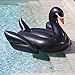 Revanak Giant Inflatable Black Swan Pool Floats 76