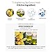 Cosmetea Korean Essence Face Mask - T3 Lemon Tea Ampoule Full Facial Masks 10 Pieces Treatments, Care Your Skin Anti-Aging, Anti-Wrinkle, Purifying, Moisturizing for Women and Men