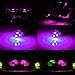 SAWE - T10 Wedge 5-SMD 5050 LED Light bulbs W5W 2825 158 192 168 194 (8 pieces) (Pink/Purple)