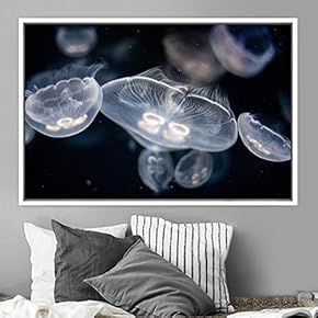 signwin Framed Canvas Wall Art Jellyfish Floating Colorful...