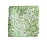 100% Woven Silk Apple Check Me Out Paisley Pocket Square