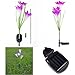 Brccee AC Solar Power Purple Lily Flower RGB Color Change LED Light Garden Yard Lamp