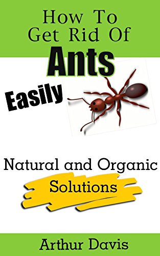 How To Get Rid Of Ants Easily: Natural and Organic Solutions