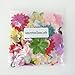 PEPPERLONELY Brand Silk Flower Petals 10 Gram, 110PC + Flower Petals, 15~50mm (9/16~2 Inch)