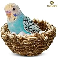SunGrow Natural Seagrass Nest for Birds - Encourages Courtship, Breeding and Nesting- Safe for Canary, Conure, Finch, Lovebird, Small Parrots, Budgie - 2 Metal Hooks Included - Easily attaches to cage