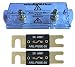 WindyNation ANL Fuse Holder + ANL Fuse (2pcs 30A Fuse)